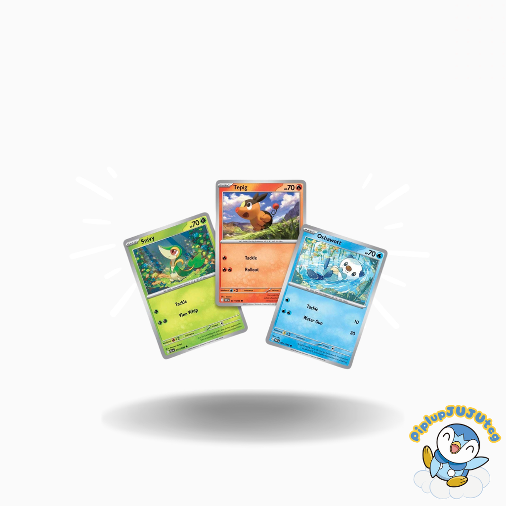 Pokémon TCG: Unova Poster Collection